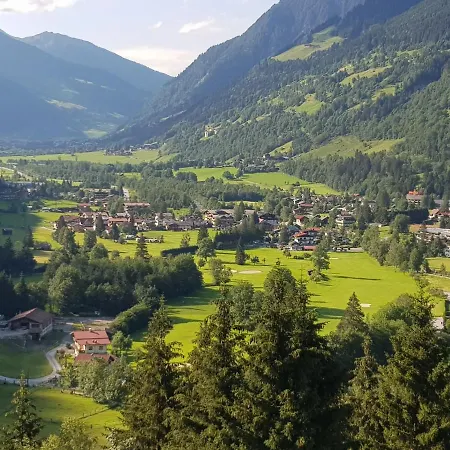 Alpenkoenig *