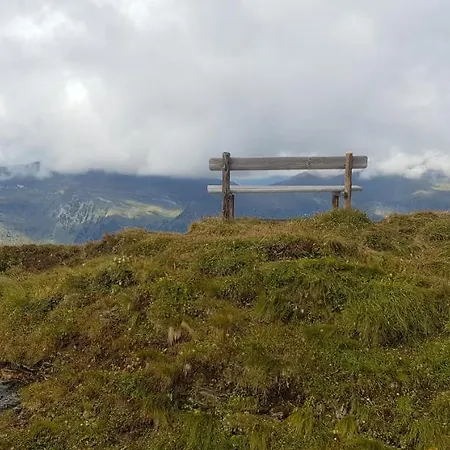 Alpenkoenig