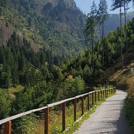 Alpenkoenig Appartement Bad Gastein