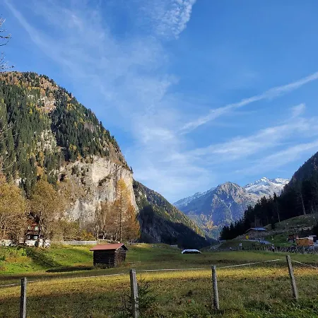 Alpenkoenig *