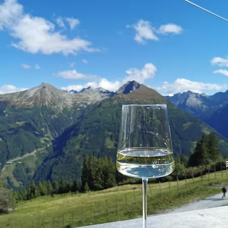 Apartment Alpenkoenig Bad Gastein