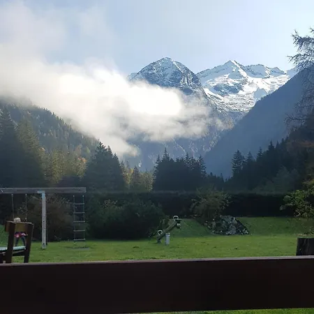 Alpenkoenig *