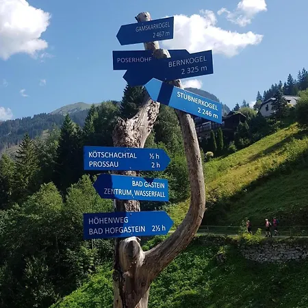 Alpenkoenig