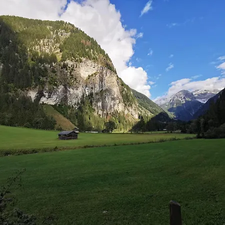 Alpenkoenig *