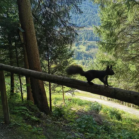 Alpenkoenig Bad Gastein