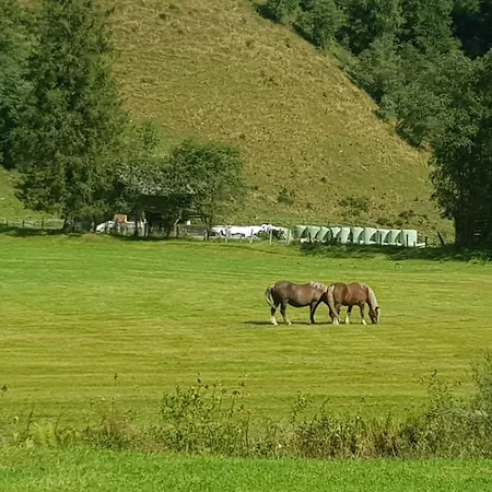 Appartement Alpenkoenig *