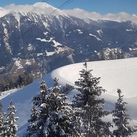 Alpenkoenig *